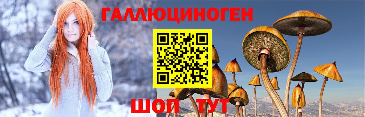 Галлюциногенные грибы Psilocybine cubensis  Галлюциногенные грибы Magic Shrooms  Новый Уренгой  Вход с VPN 