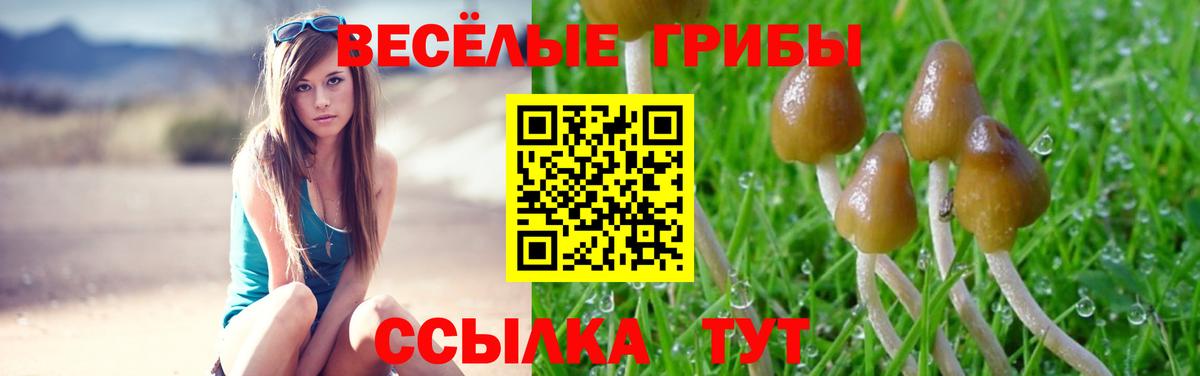 Псилоцибиновые грибы GOLDEN TEACHER Новый Уренгой